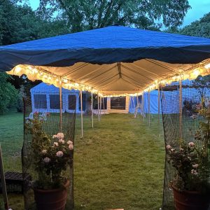 10'X50'x7'  Frame Tent