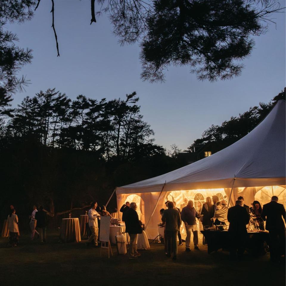 30'X90'x7' Classic White Pole Tent