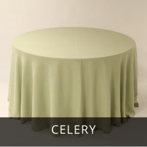 Celery Panama